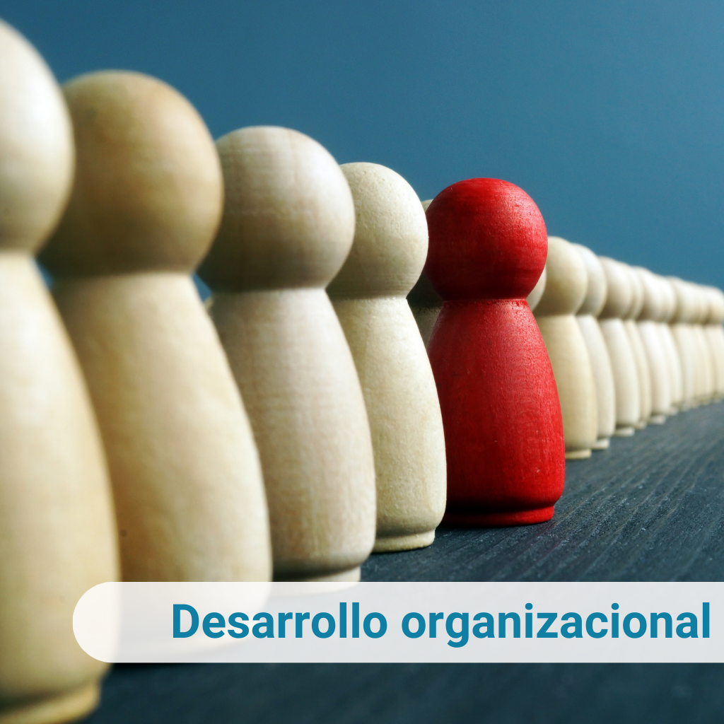 Desarrollo organizacional