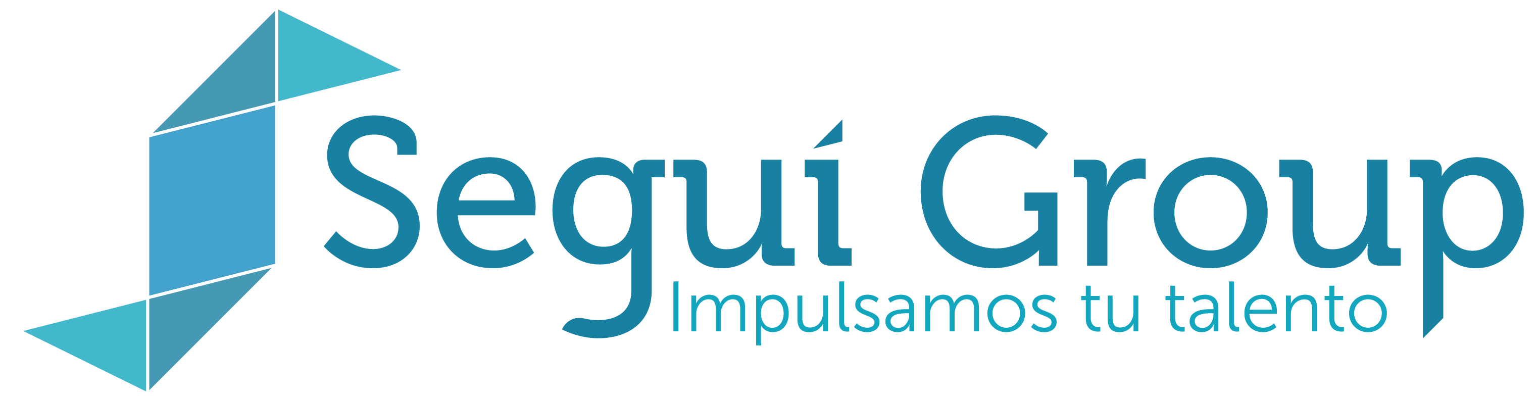 Logo Seguí Group horizontal transparente